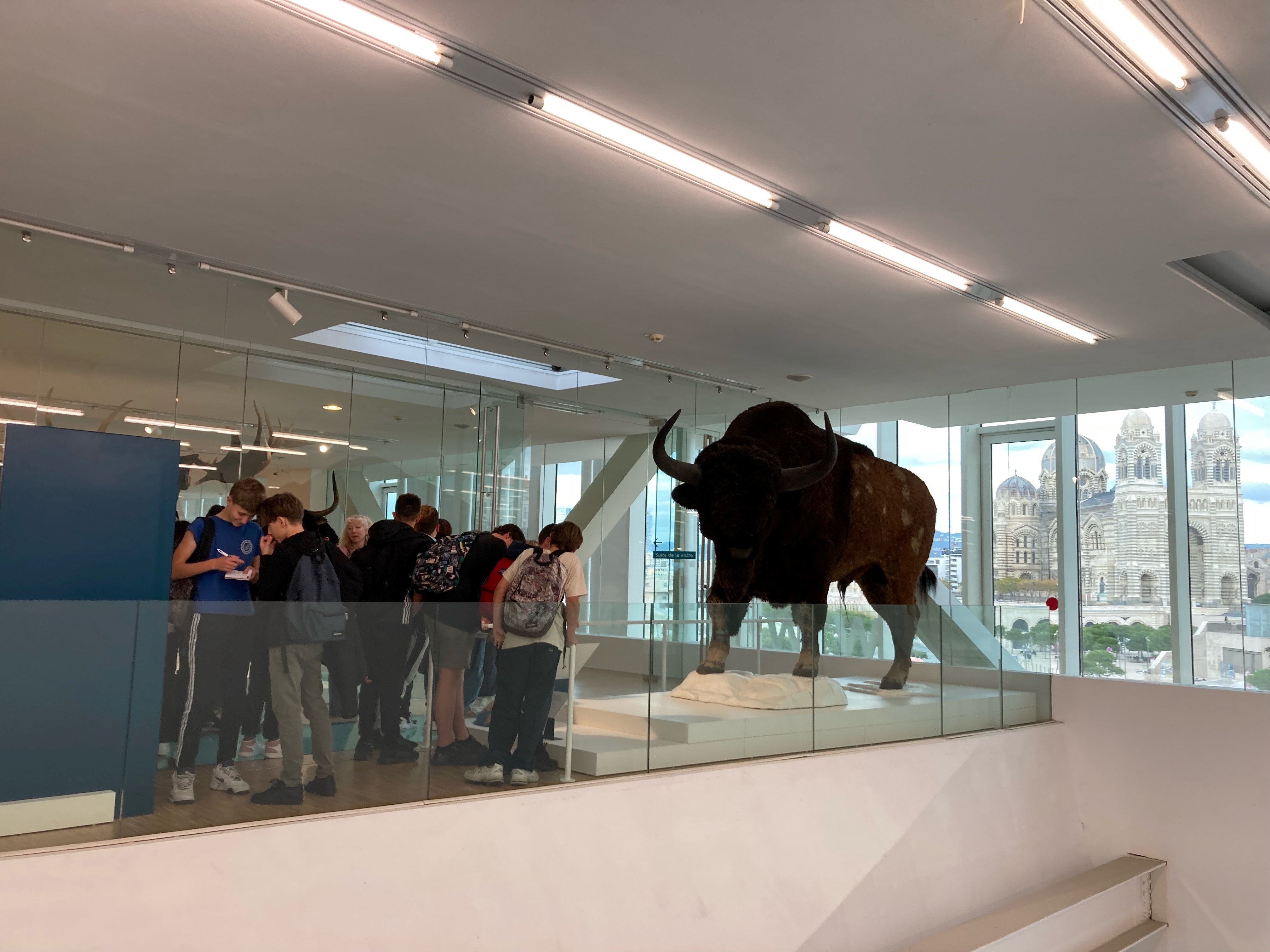 Visuel : SORTIE GROTTE COSQUER POUR LES 4EME