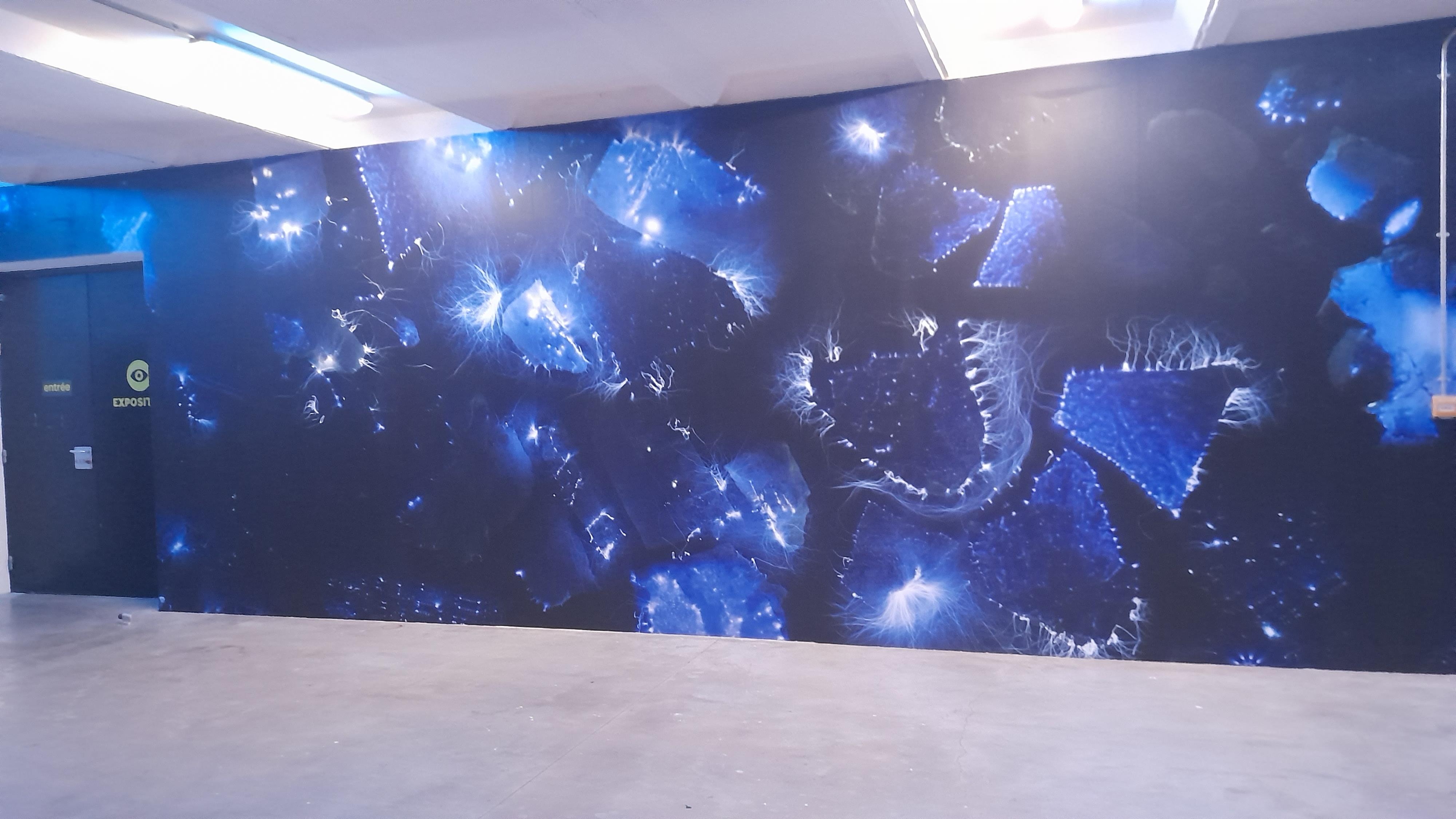 Visuel : BIENNALE DES IMAGINAIRES NUMERIQUES !