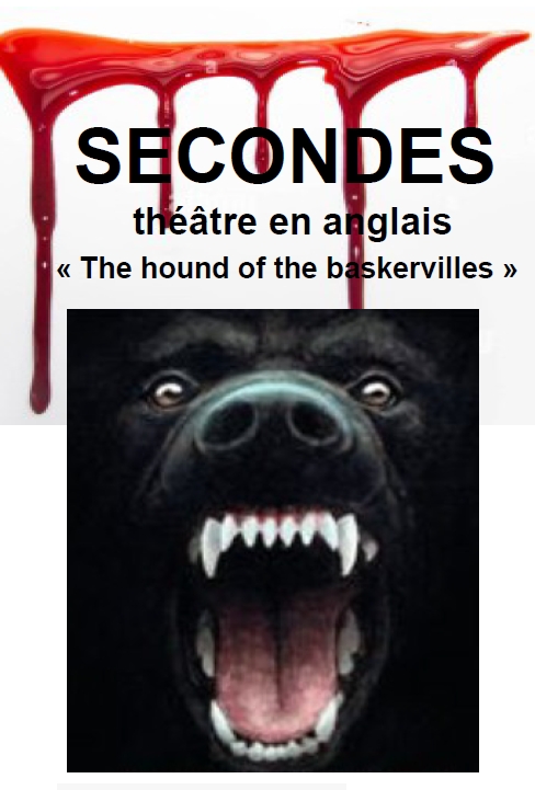 Visuel : SORTIE THEATRE EN SECONDE !