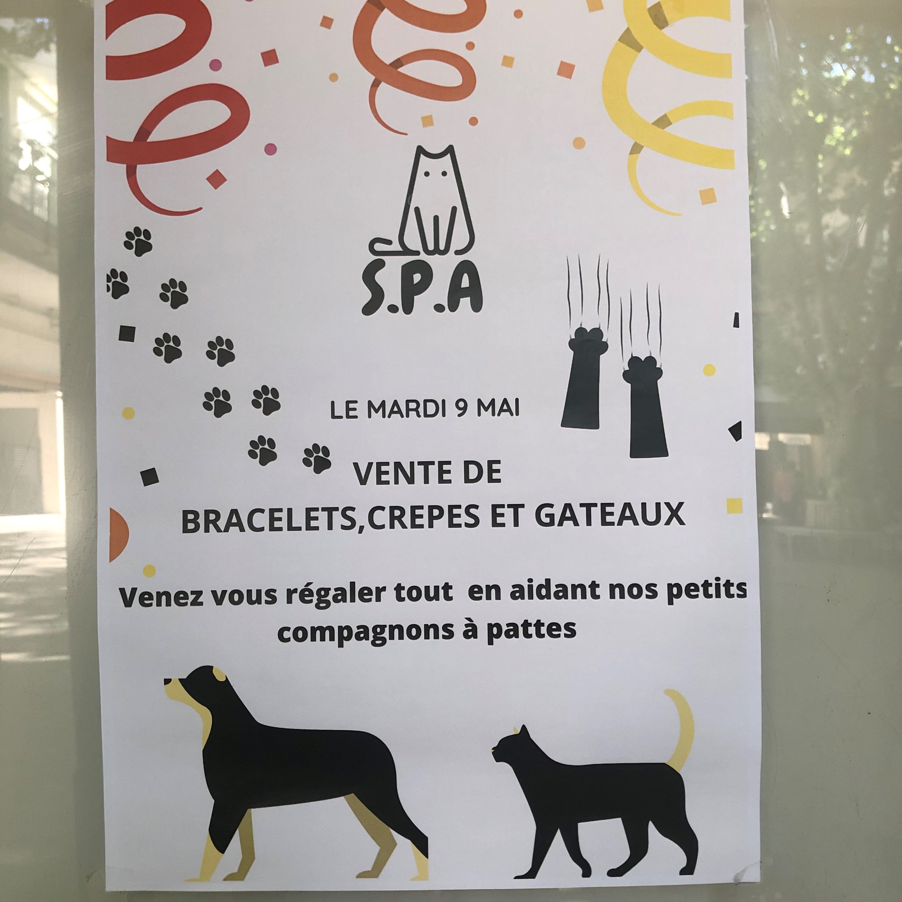 Visuel : Les lves de sixime soutiennent la SPA