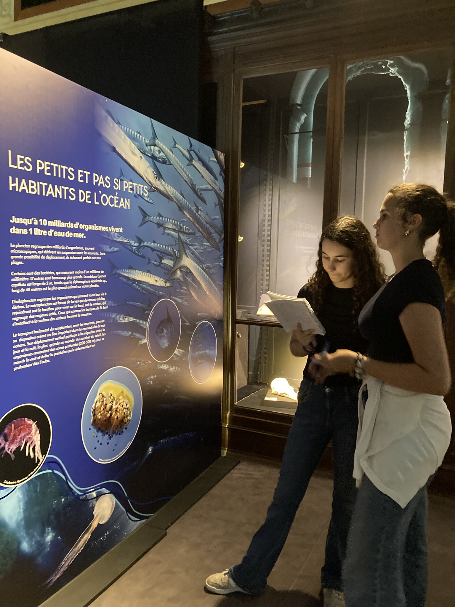 Visuel : EXPOSITION OCEANS AU PALAIS LONGCHAMP !
