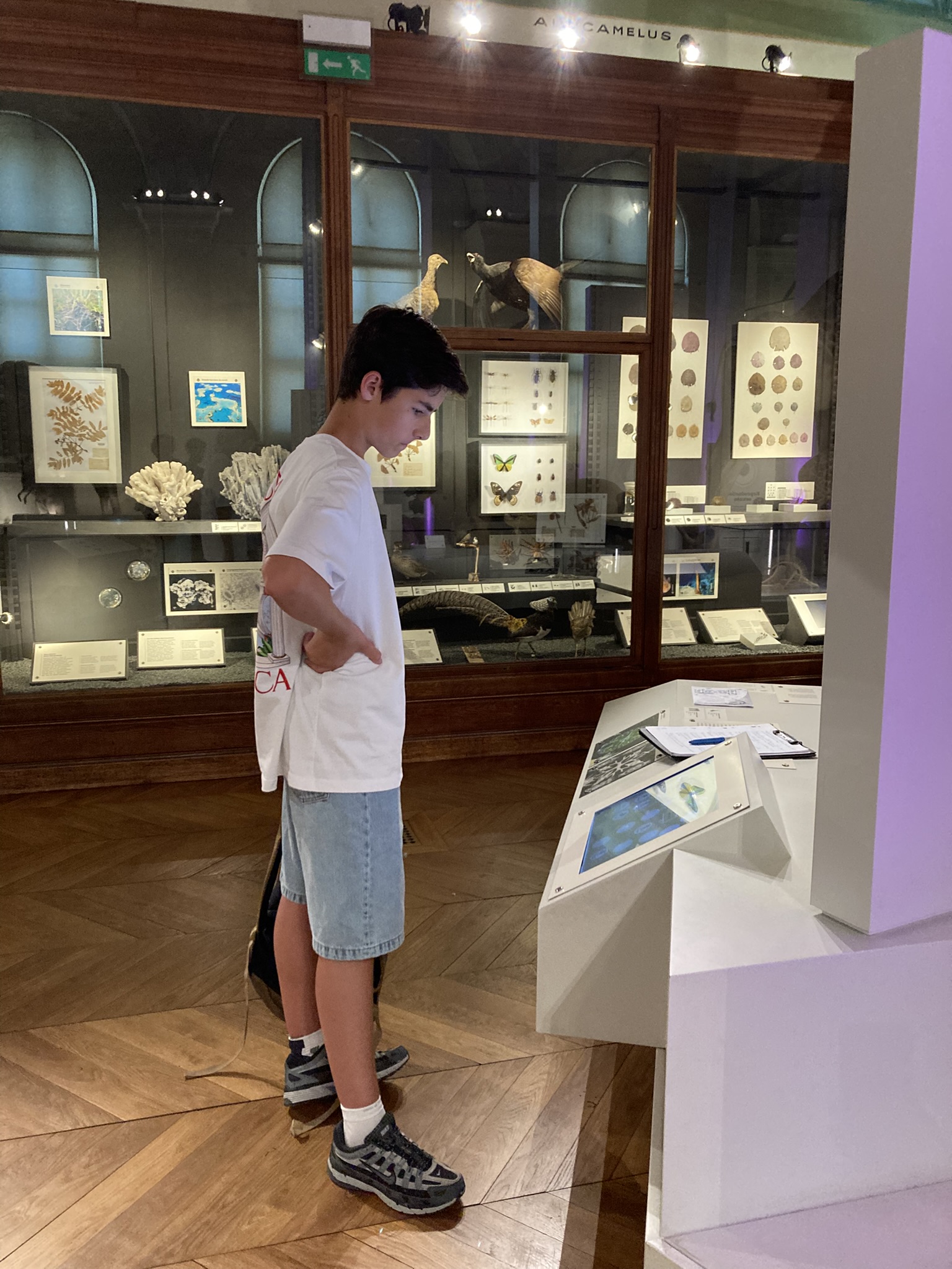 Visuel : EXPOSITION OCEANS AU PALAIS LONGCHAMP !