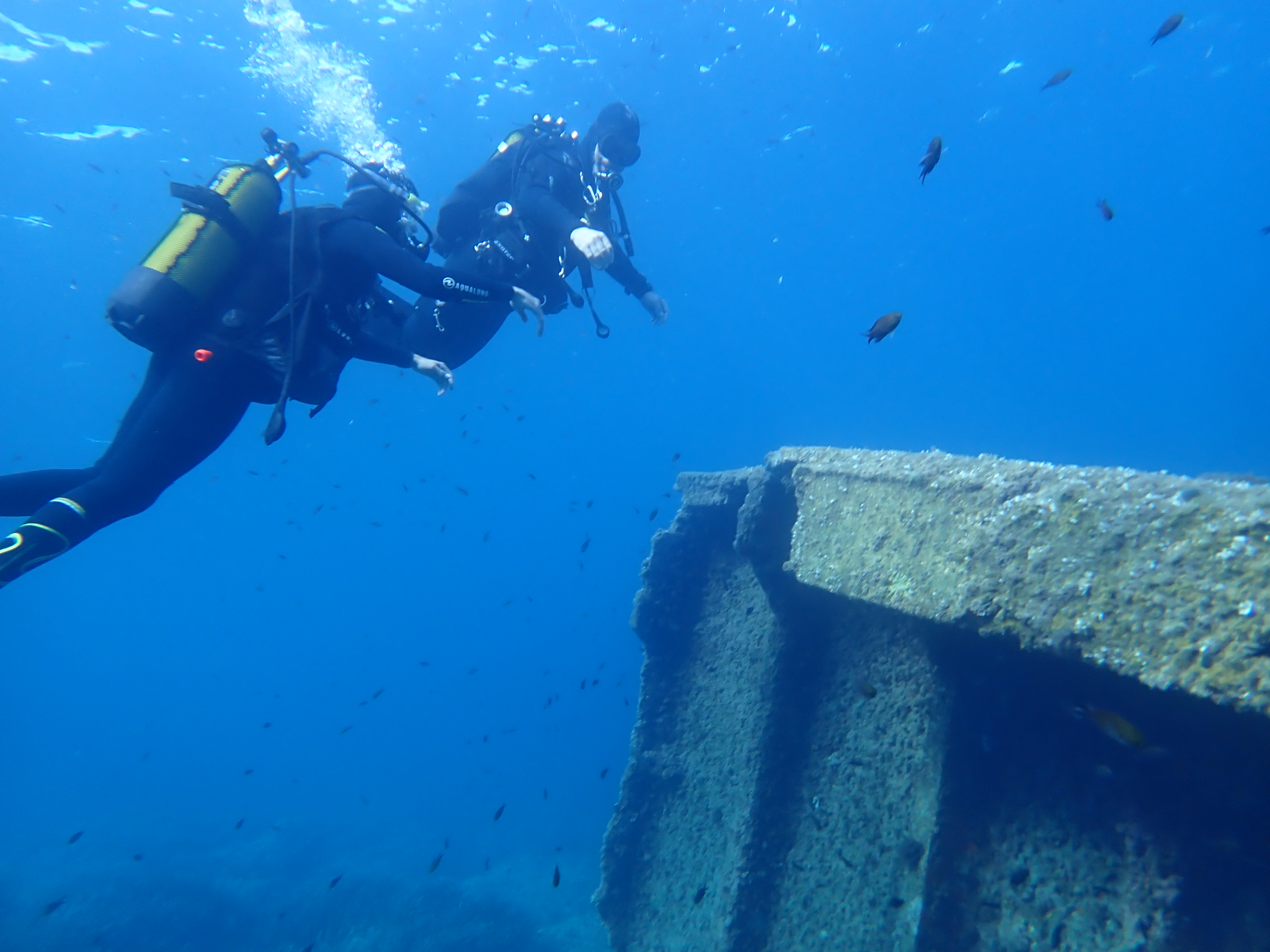 Visuel : QUELQUES MOTS DE PORQUEROLLES !