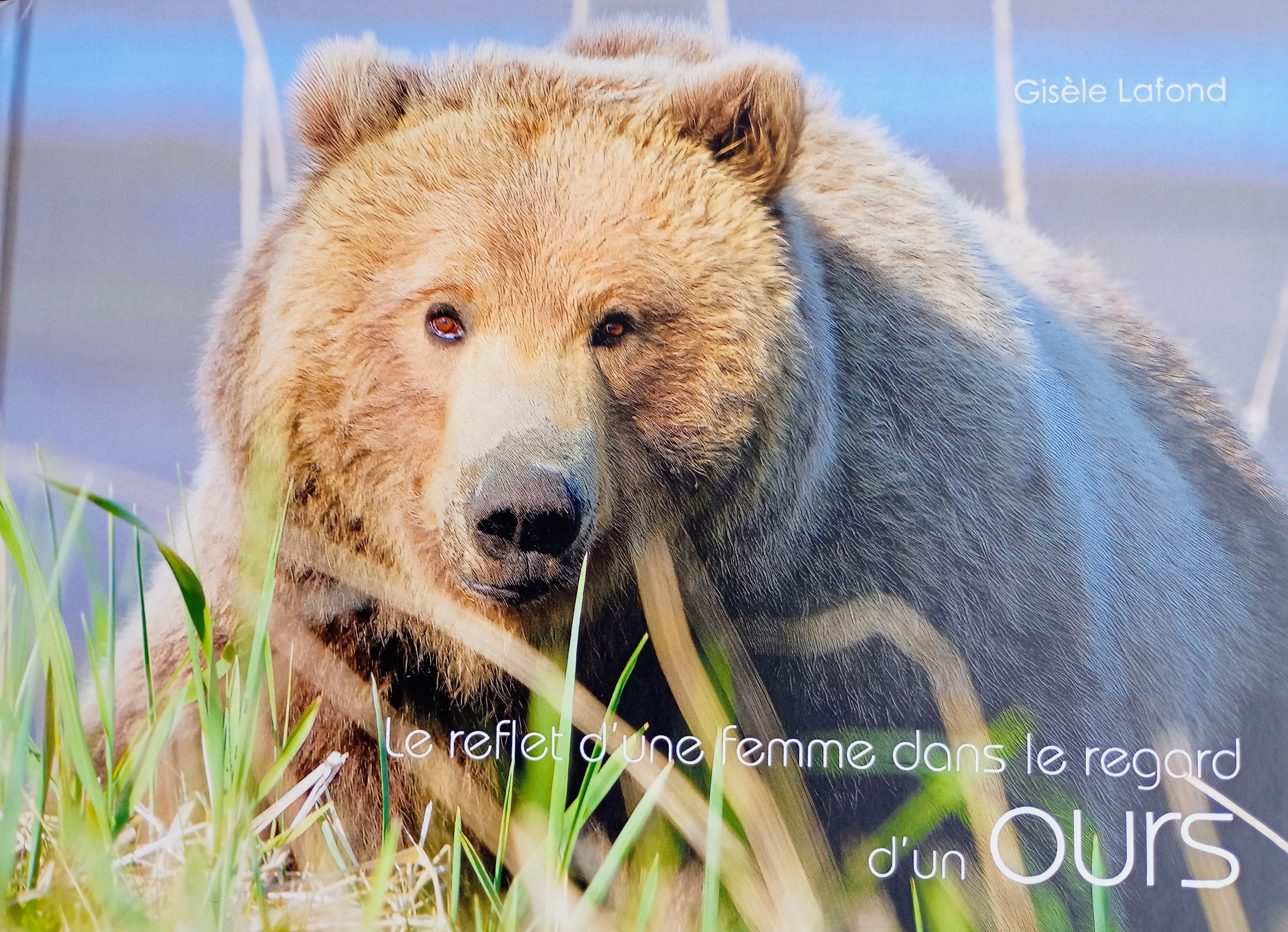 Visuel : SORTIE CINEMA LYCEE ET DN MADE !