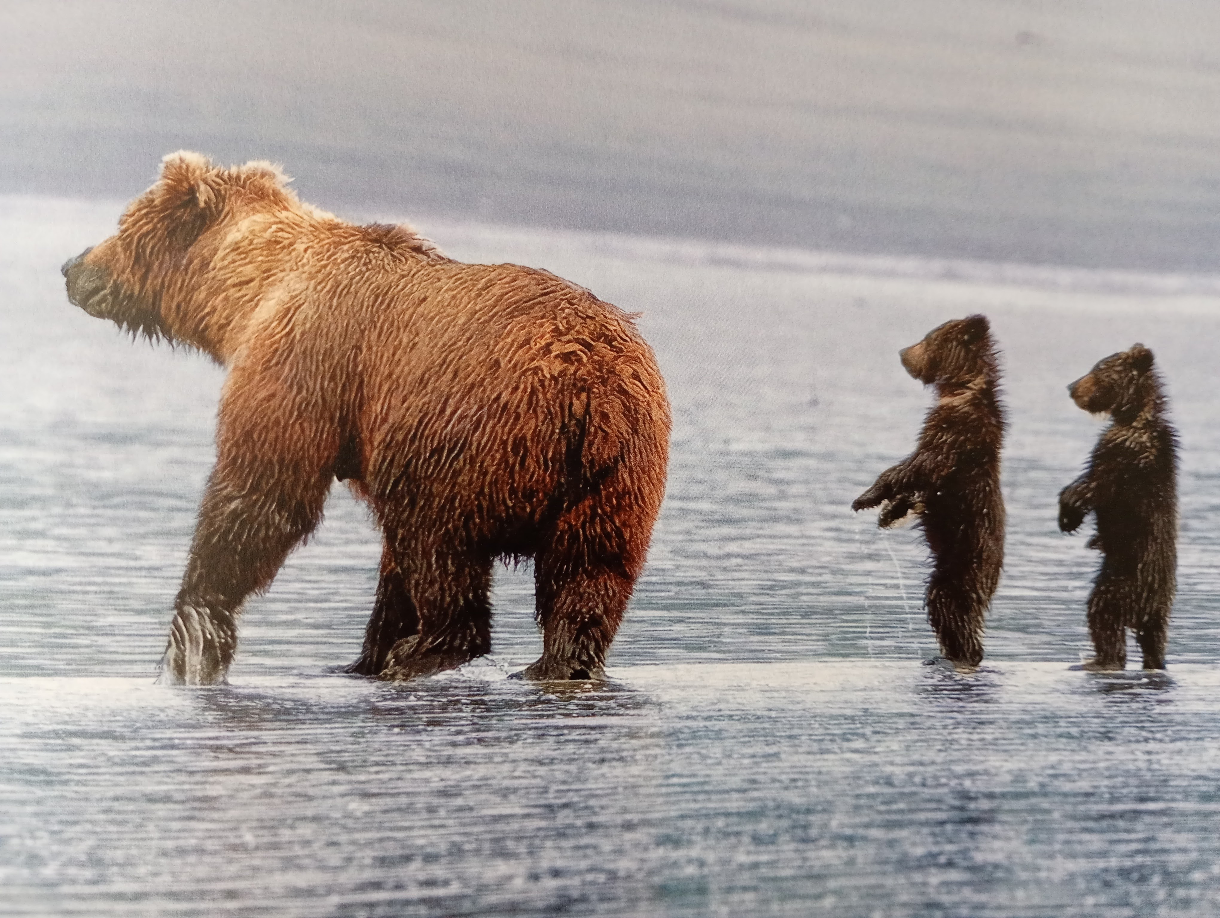 Visuel : SORTIE CINEMA LYCEE ET DN MADE !