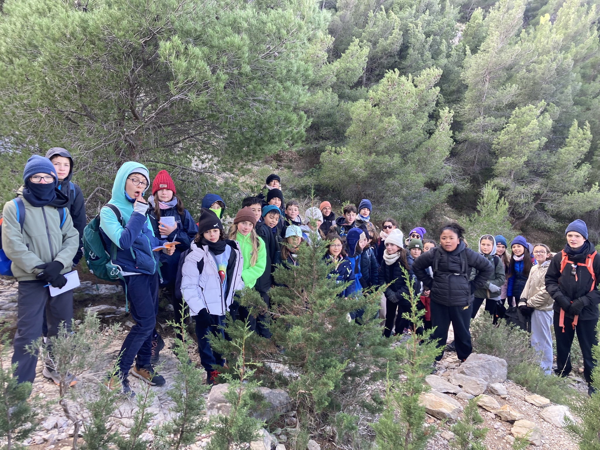 Visuel : SORTIE CALANQUES POUR LA 5EME C !