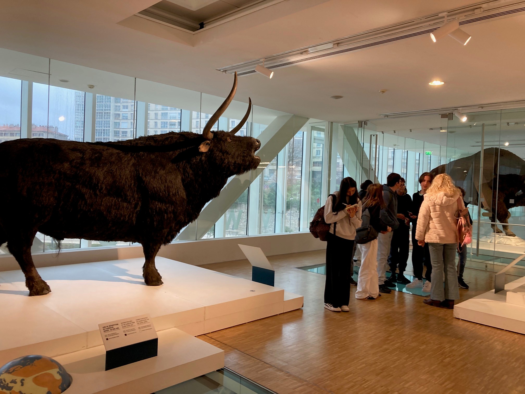 Visuel : LES 4EME C A LA DECOUVERTE DE LA GROTTE COSQUER !