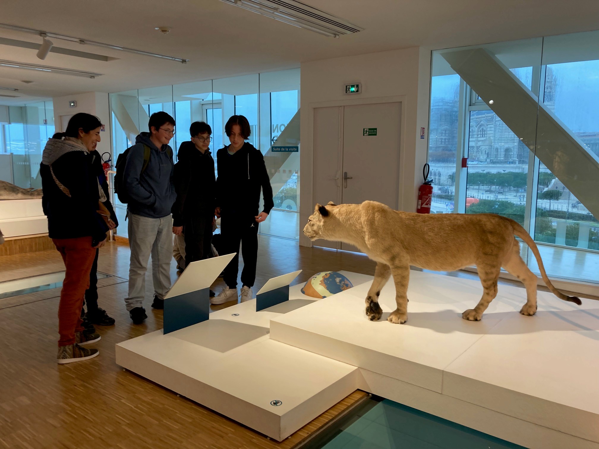 Visuel : LES 4EME C A LA DECOUVERTE DE LA GROTTE COSQUER !