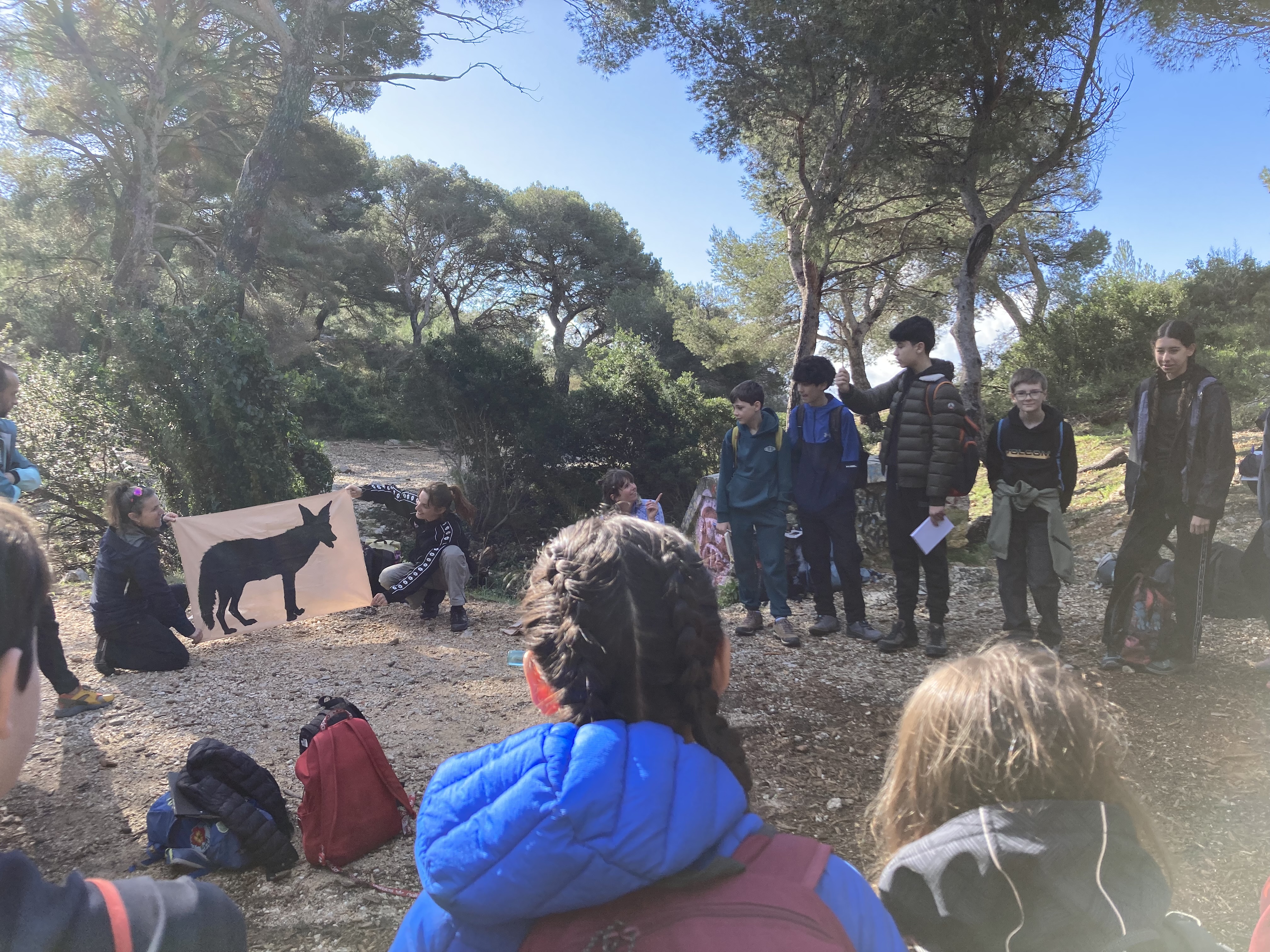 Visuel : SORTIE CALANQUES POUR LA 5EME C !