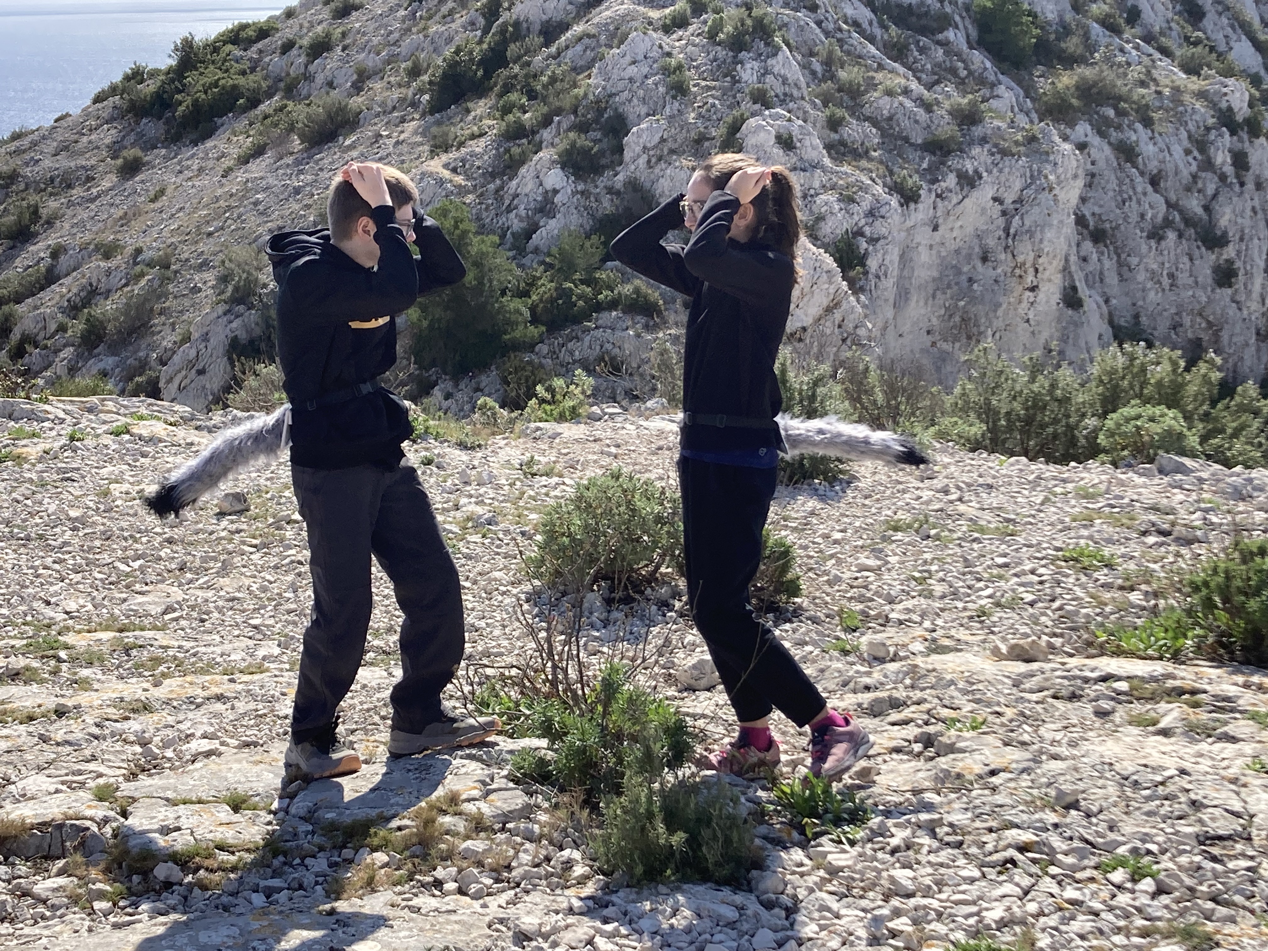 Visuel : SORTIE CALANQUES POUR LA 5EME C !