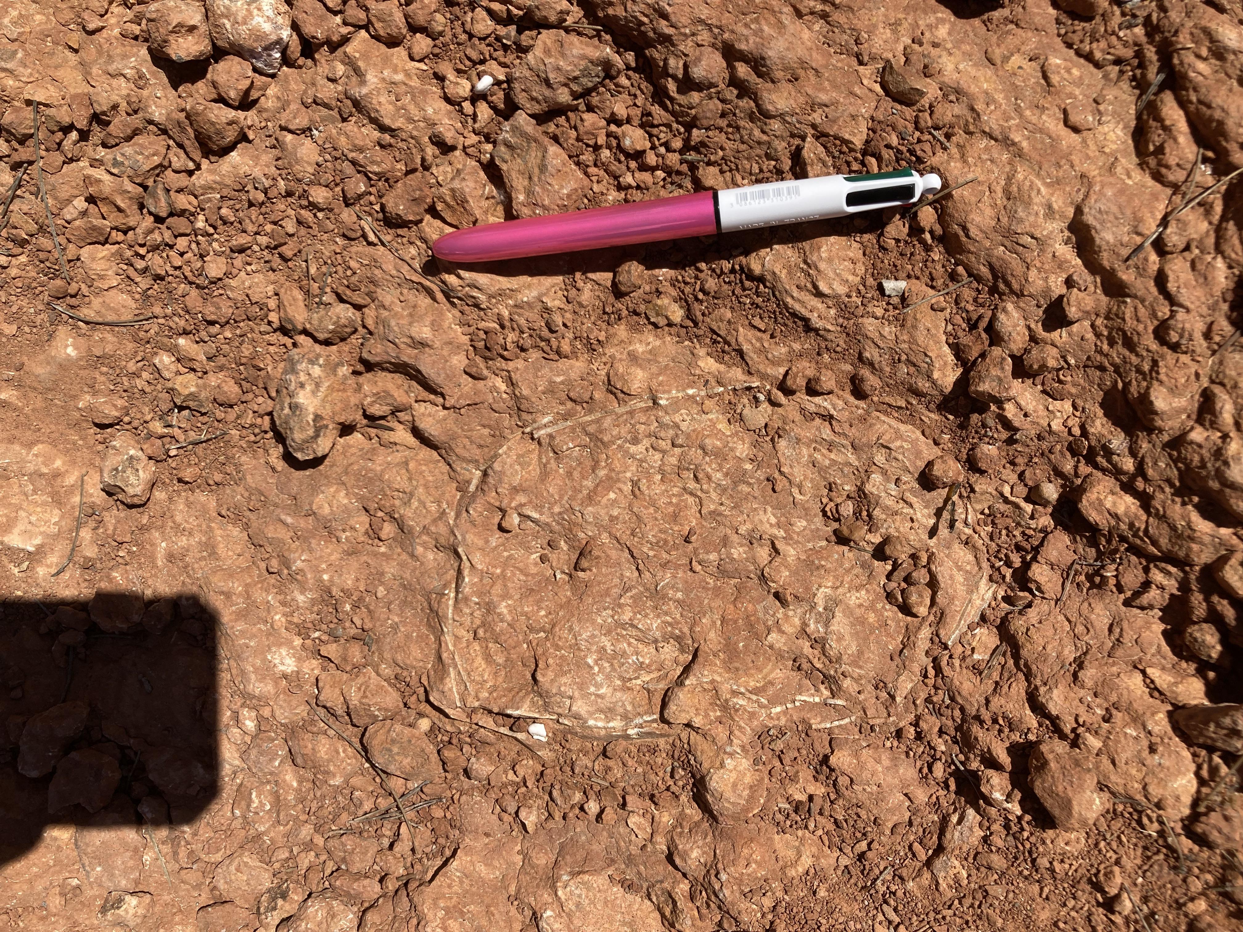 Visuel : SORTIE A LA SAINTE VICTOIRE !