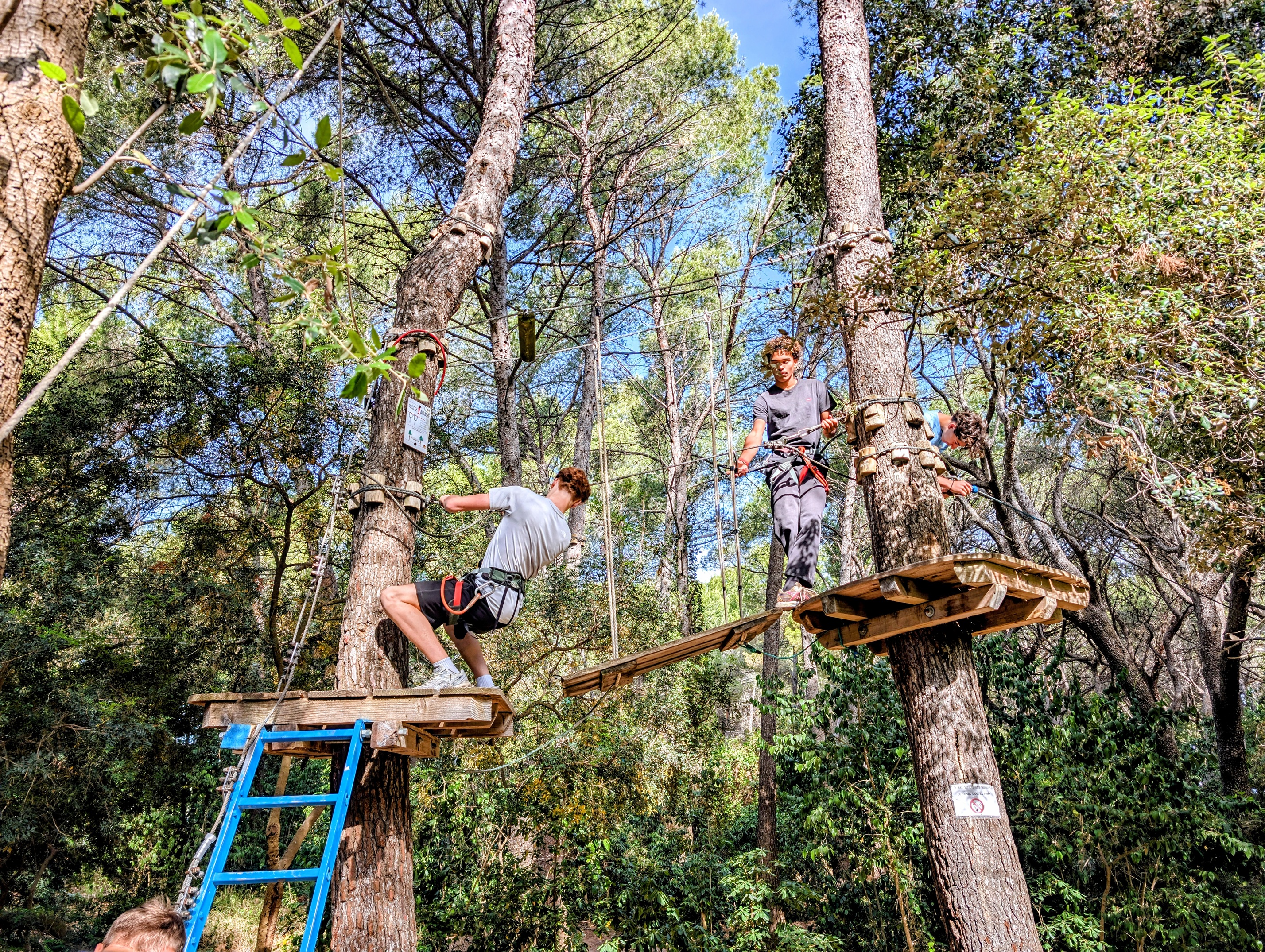 Visuel : SORTIE ACROBRANCHE SECONDE 4 !